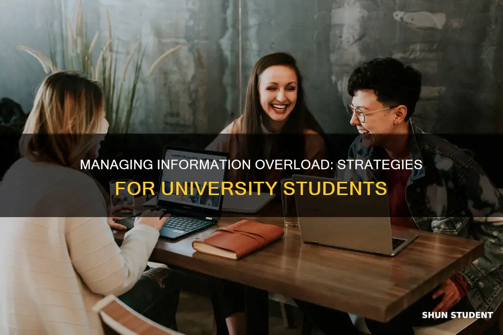 how can a university student overcome information overload