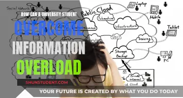 Strategies for Students to Manage Information Overload