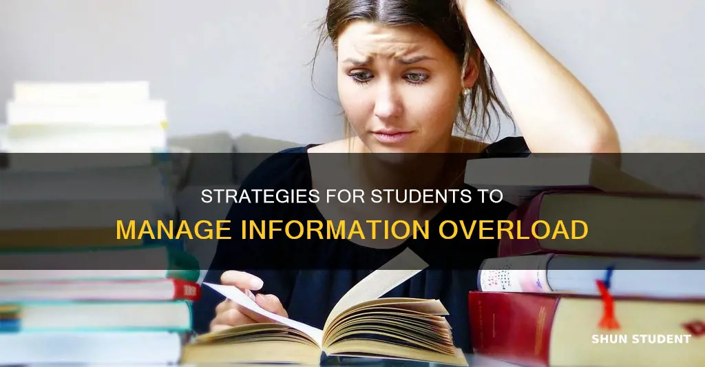 how can a university student overcome information overload