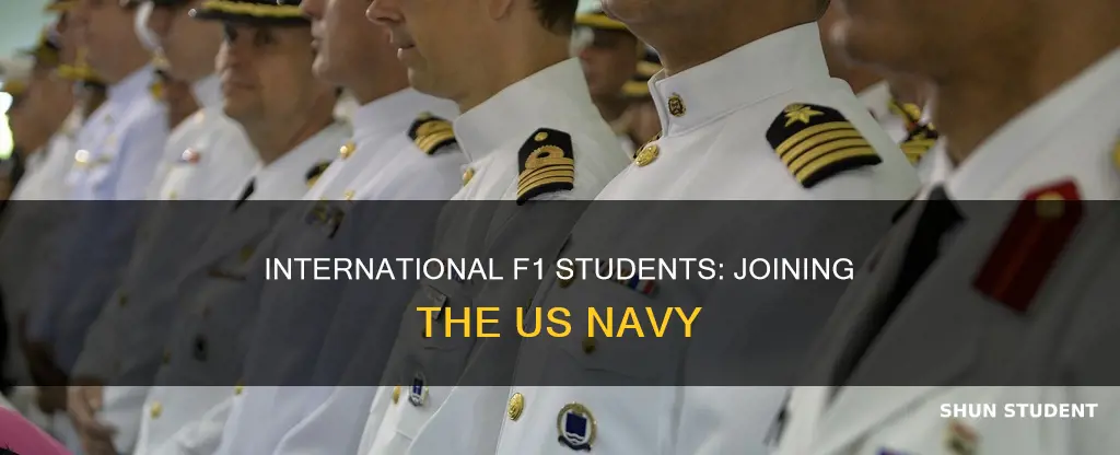 how can an international f1 student go in us navy