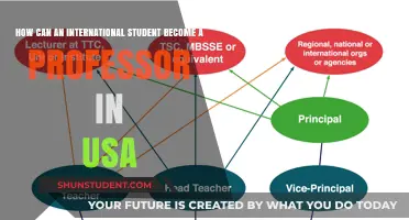 The Path to Becoming a Professor in the US as an International Student