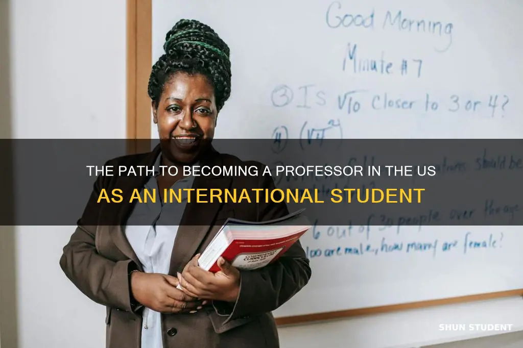 how can an international student become a professor in usa