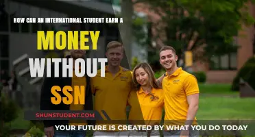 International Students: Earn Money Without a SSN