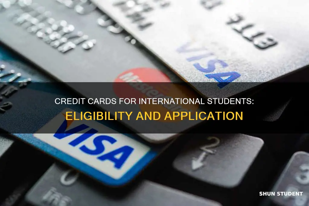 how can an international student get a credit card