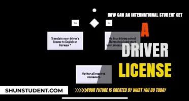 Get a Driver's License: Tips for International Students