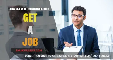 Job Hunting Strategies for International Students
