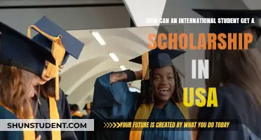Scholarships in the USA: A Guide for International Students