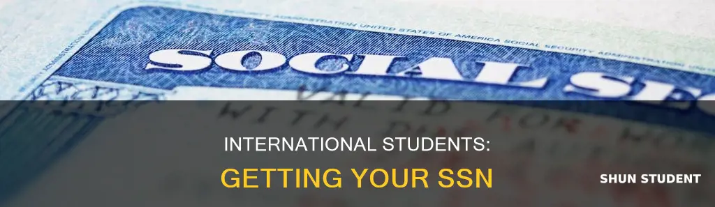 how can an international student get a ssn