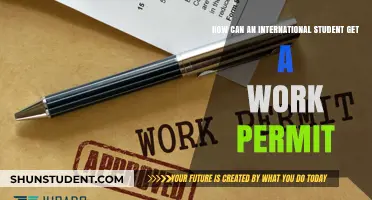 Work Permit Guide for International Students