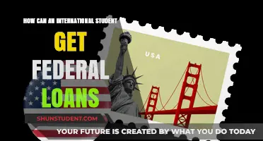 International Students: Getting Federal Loans in the US