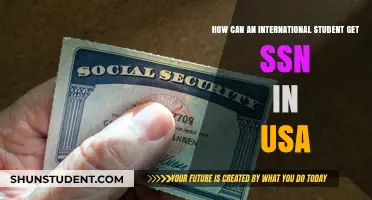 Get an SSN: International Students' Guide