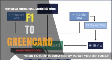 F1 to Green Card: Navigating the Immigration Journey
