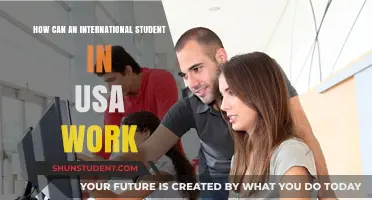 Working in the USA: A Guide for International Students