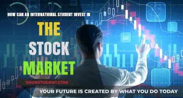 Stock Market Strategies for International Students