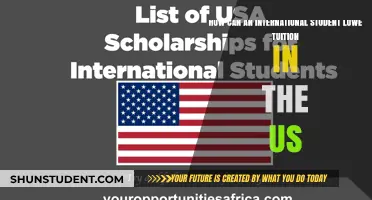 International Students: Lowering US Tuition Costs