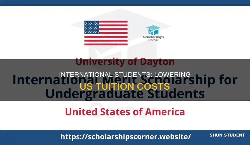 how can an international student lowe tuition in the us