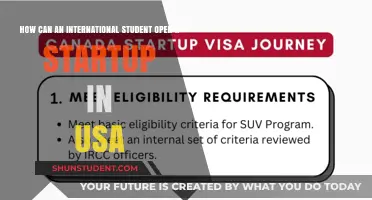 International Students: Launching Startups in the USA