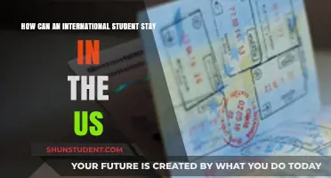 Staying in the US: Options for International Students