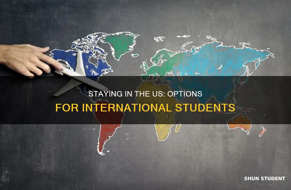 how can an international student stay in the us