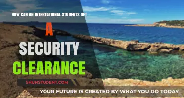 Security Clearance: International Students' Guide to Success