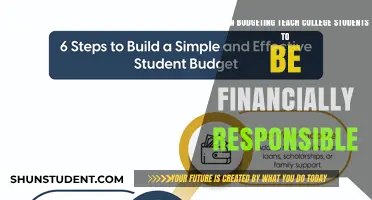 Budgeting Basics: Empowering College Students for Financial Responsibility