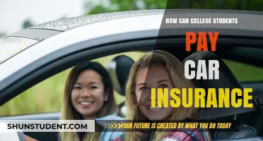 College Students: Car Insurance Payment Strategies