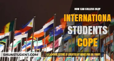 Colleges' Support for International Students: Coping Strategies