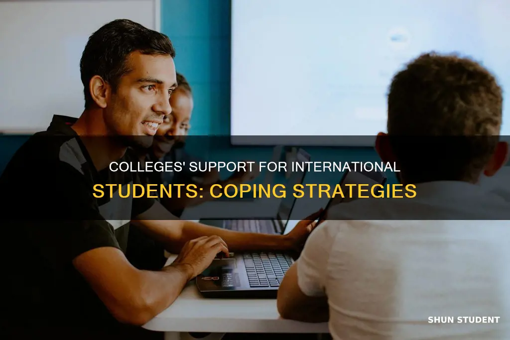 how can collegs hlep international students cope
