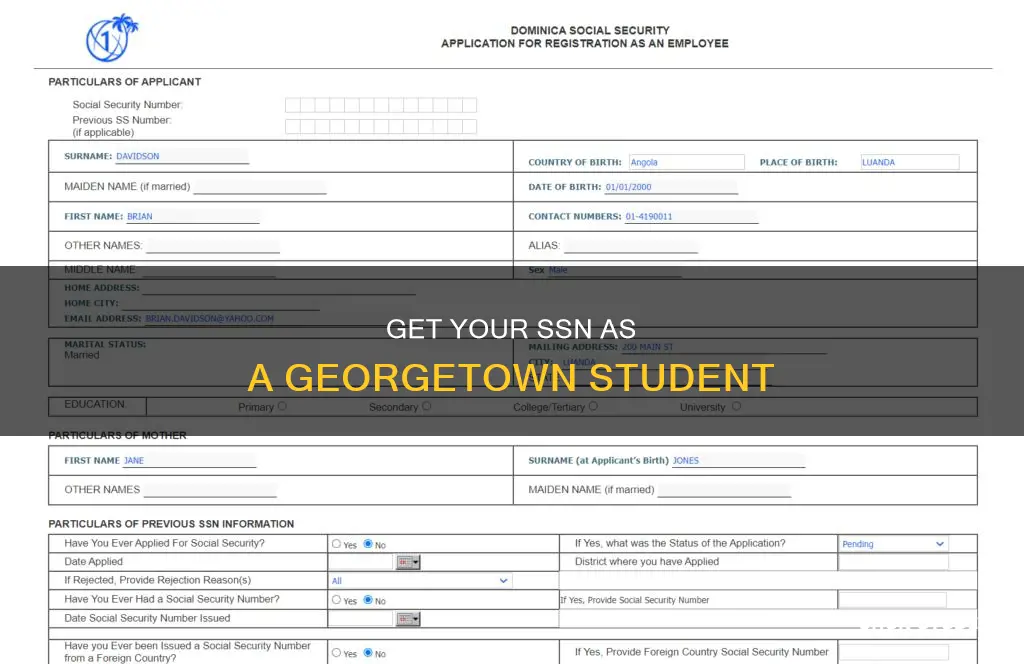 how can georgetown university student get ssn