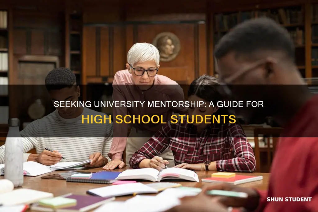 how can highschool students get university mentorship