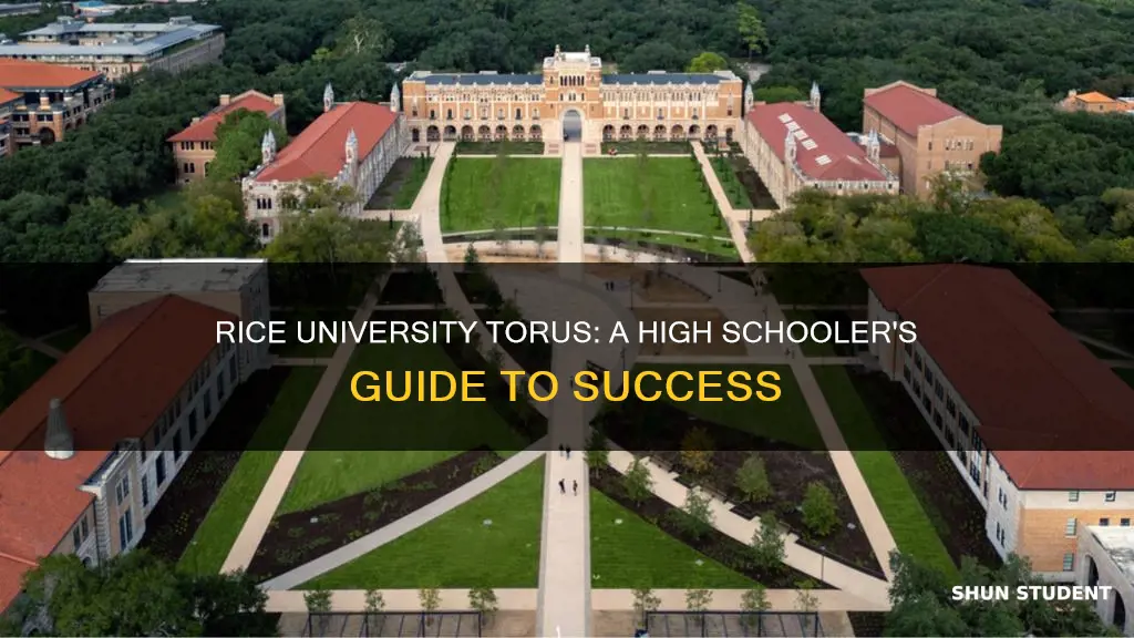 how can highschool students take rice university torus