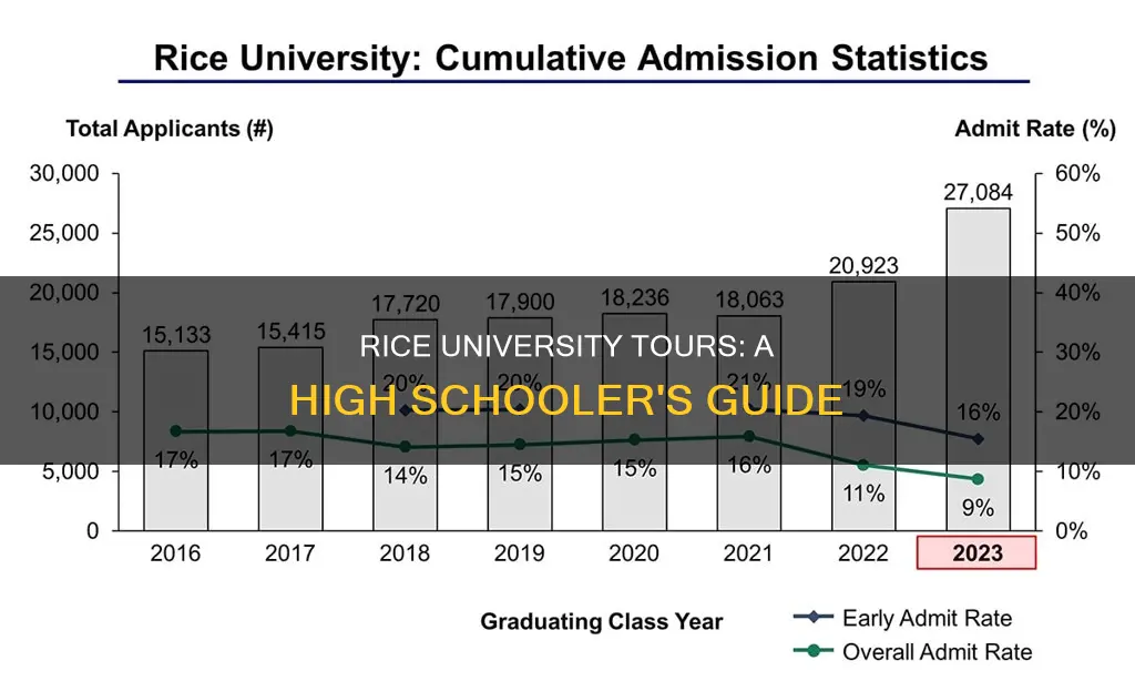 how can highschool students take rice university torus