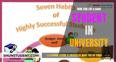 Strategies for Academic Success in University