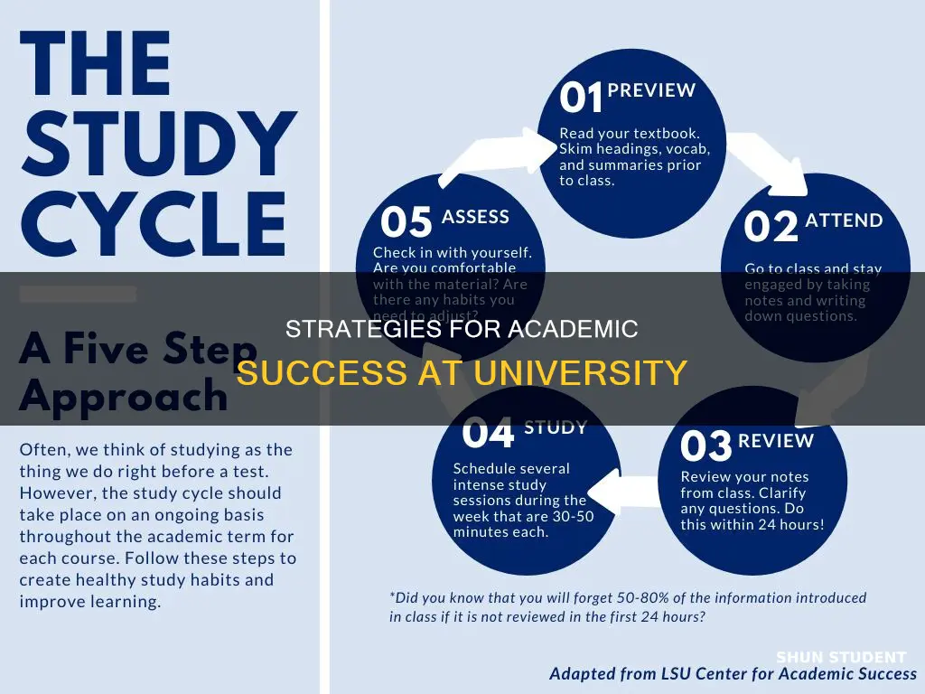 how can i be a successful student in university