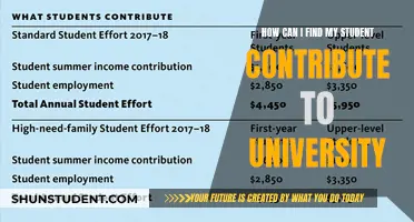 Impactful Ways Students Can Contribute to University Life