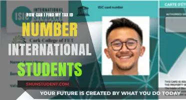 Finding Your Tax ID: Guide for International Students