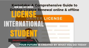 International Student's Guide to Getting a Driver's License