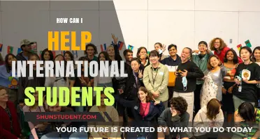 Helping International Students: A Guide for Their Success
