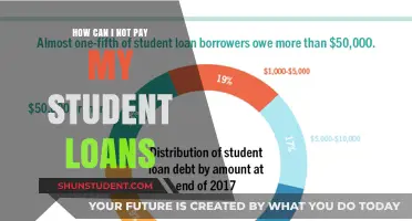 Strategies to Avoid Paying Back Student Loans