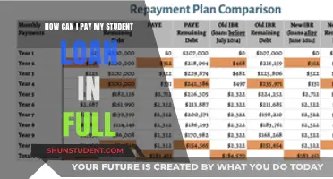 Strategies to Repay Student Loans in Full