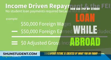 Paying Student Loans While Abroad: What You Need to Know