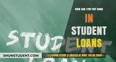 Strategies to Eradicate Your 200K Student Loan Debt