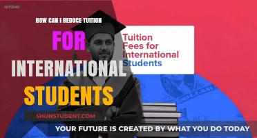 International Student Tuition: Strategies for Reducing Costs