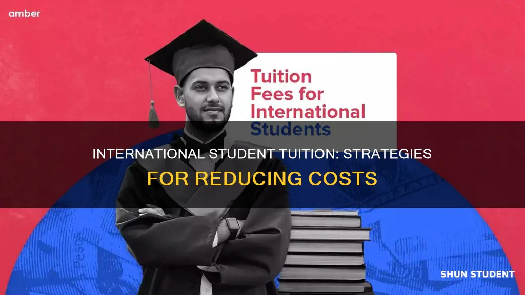 how can i reduce tuition for international students