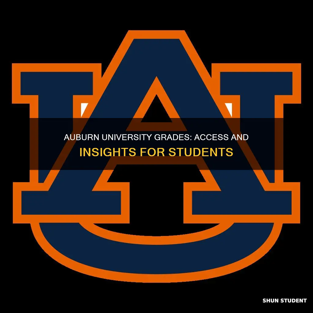 how can i see student auburn university grades