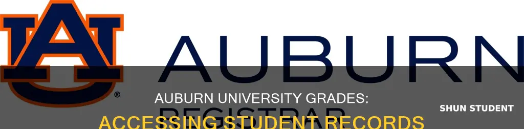 how can i see student auburn university grades