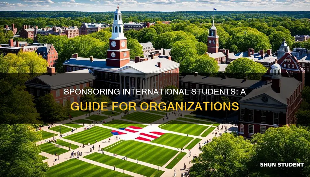 how can i sponsors an international students