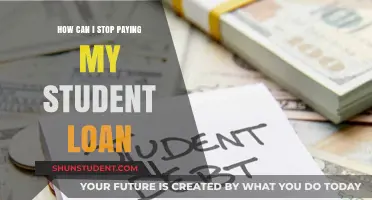 Strategies to Stop Paying Off Student Loans