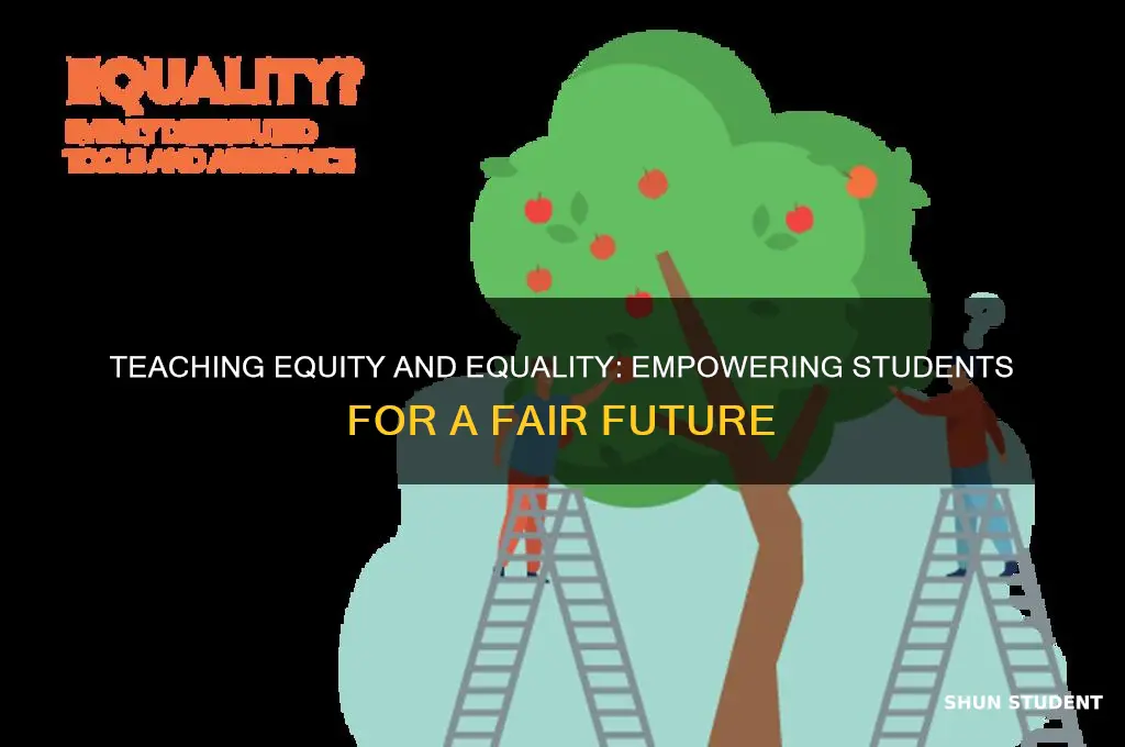 how can i teach my students about equity and equality