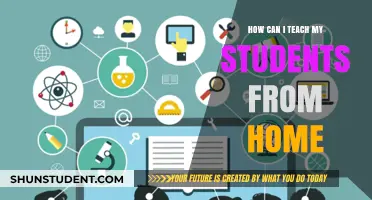 Effective Strategies for Teaching Students Remotely from Home